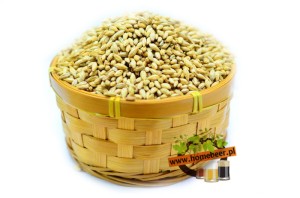 Słód wiedeński Bruntal - Raven Trading