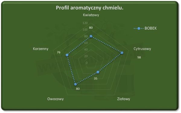 Chmiel Bobek